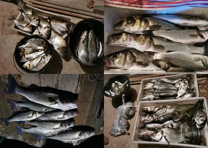 Appartement Heavenly Bay *